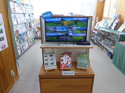 展示の
