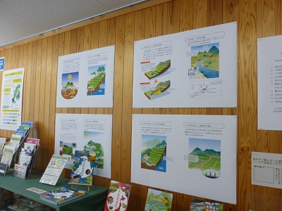 展示の様子
