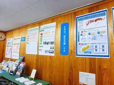 展示の様子