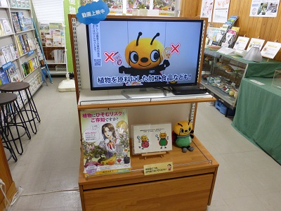 展示の様子