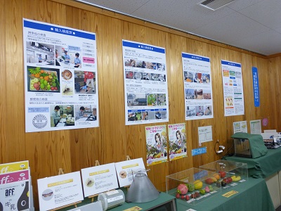 展示の様子