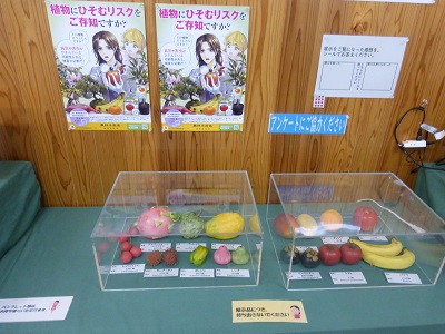 展示の様子