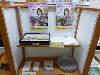 展示の様子