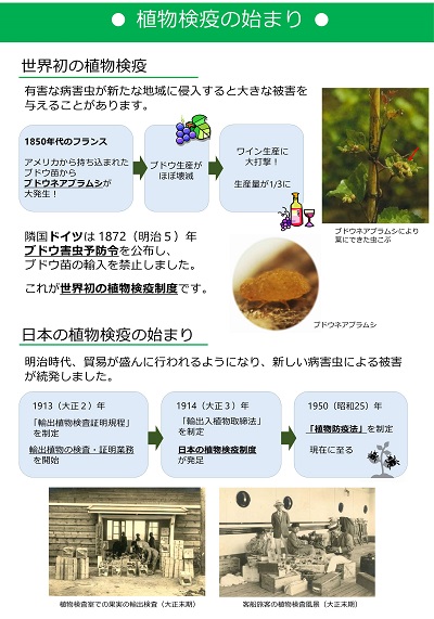 展示資料