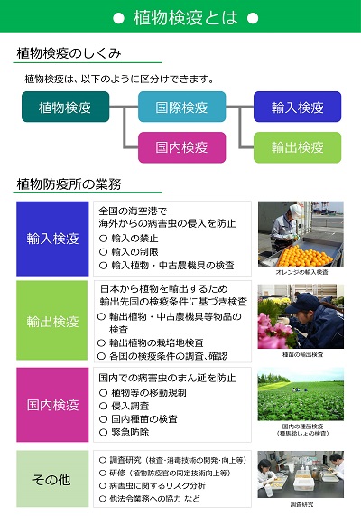 展示資料