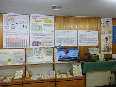 展示の様子
