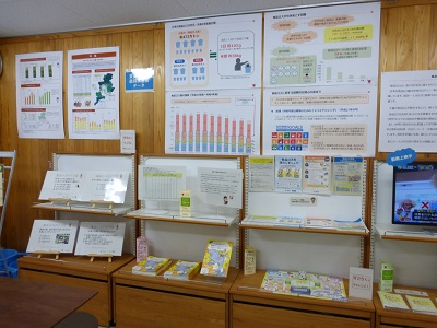 展示の様子