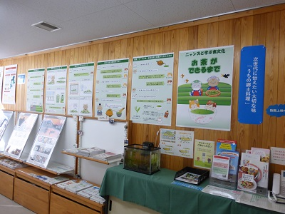 展示の様子