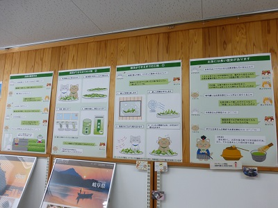 展示の様子