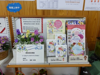 展示の様子