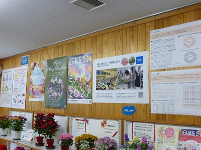 展示の様子