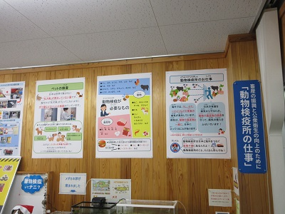 展示の様子