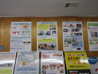 展示の様子