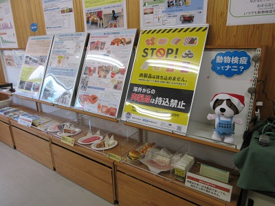 展示の様子