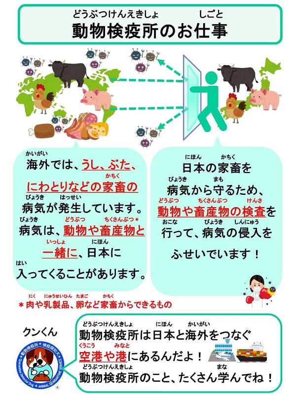展示