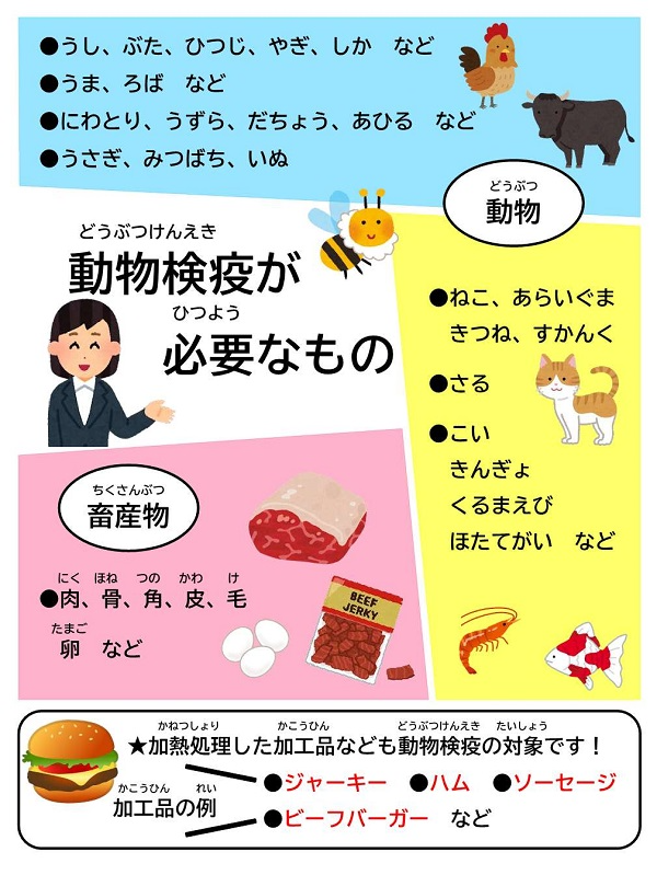 展示資料