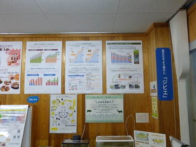展示の様子
