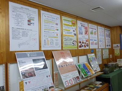 展示の様子