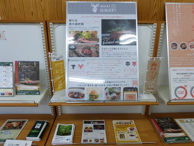 展示の様子