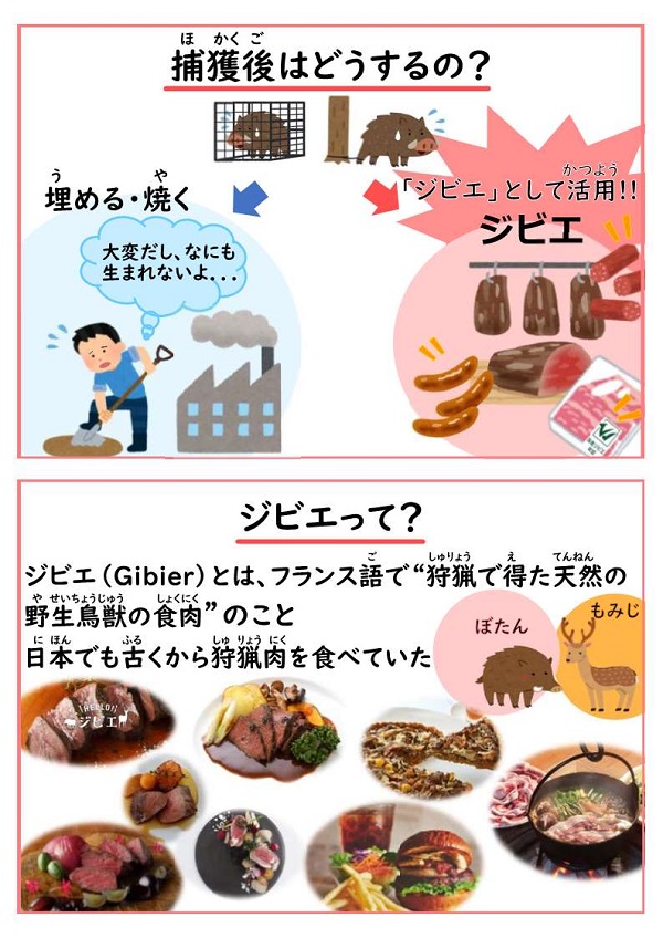 展示資料