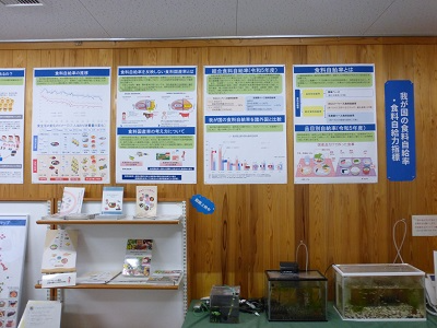 展示の様子
