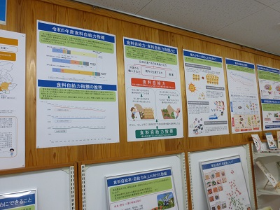 展示の様子