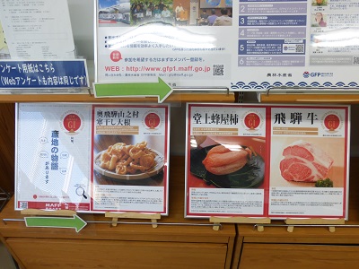 展示の様子