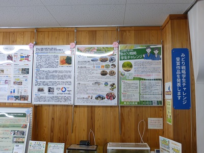 展示の様子