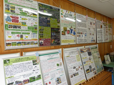 展示の様子