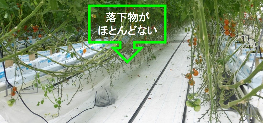 施設内