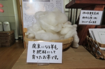 廃棄になった羊毛