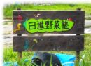日進野菜塾