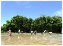 太田農園