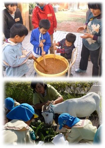 季の野の台所