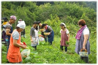 西村自然農園