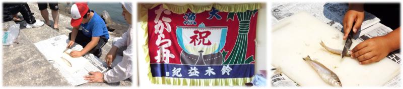 篠島お魚の学校（平成26年度）
