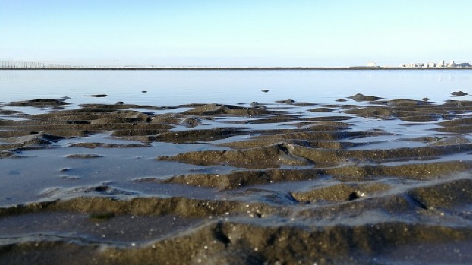 潮だまりの様子2枚目